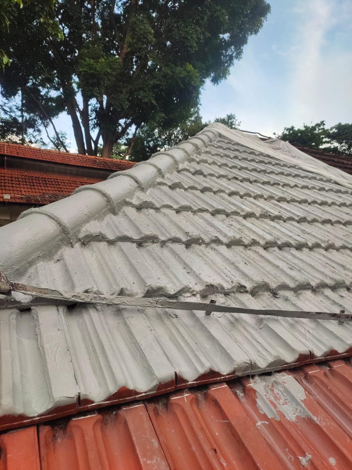 Professional Waterproofing Services Singapore