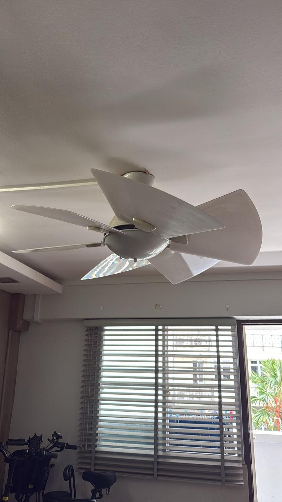 Ceiling Fan Installation
